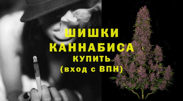 индика Богородицк