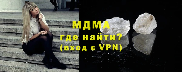индика Богородицк