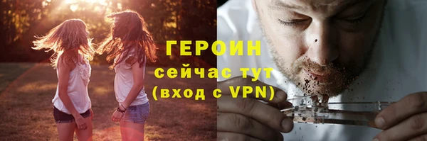 индика Богородицк