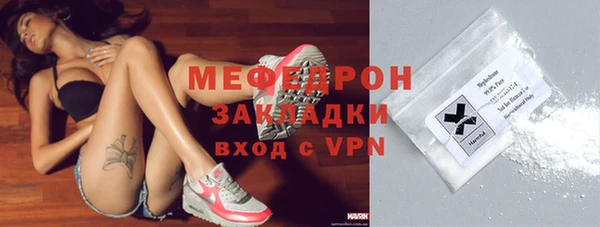 индика Богородицк
