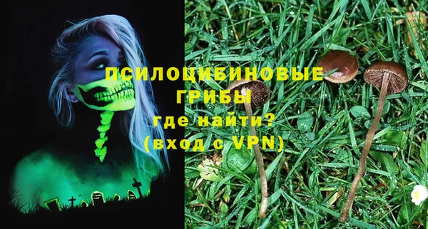 марки nbome Богданович
