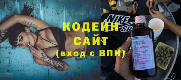 индика Богородицк