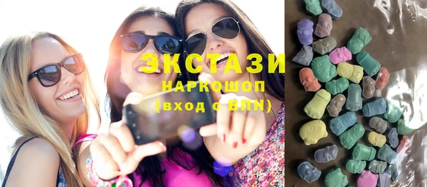 индика Богородицк