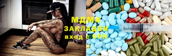 индика Богородицк