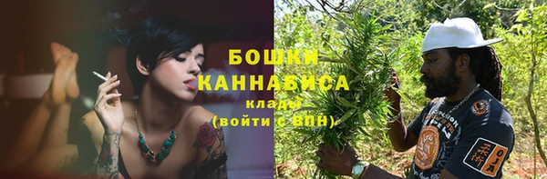 хмурый Бронницы