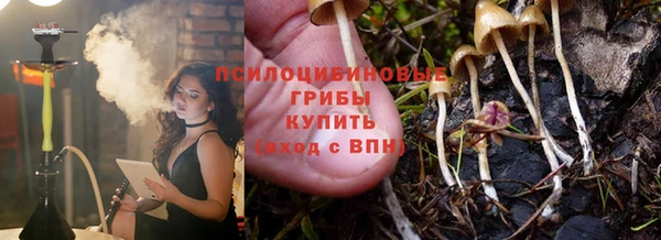 марки nbome Богданович