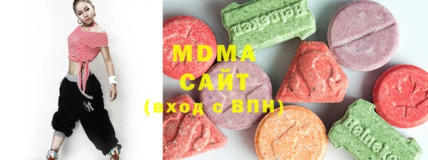 индика Богородицк