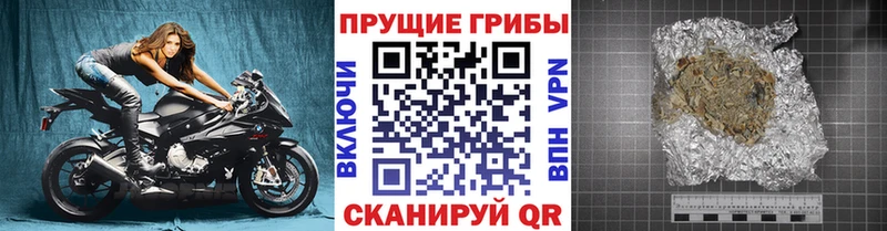 Псилоцибиновые грибы GOLDEN TEACHER  hydra как зайти  Волчанск 