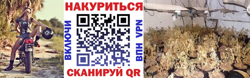 гидра маркетплейс  Волчанск  Конопля план  цены наркотик 